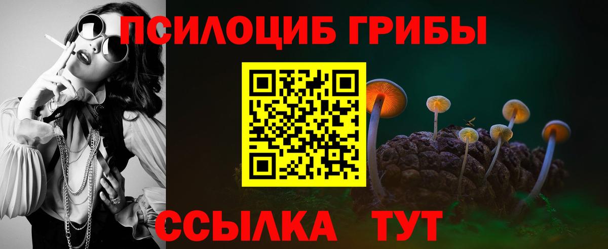 Галлюциногенные грибы прущие грибы Светлоград