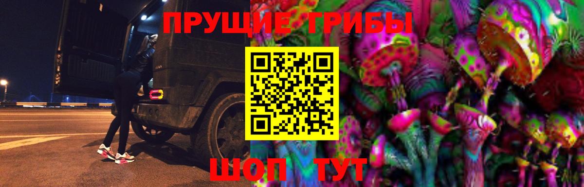 как найти   Вход с VPN  Светлоград  Псилоцибиновые грибы прущие грибы 
